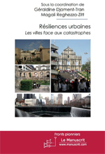 Rsiliences urbaines : Les villes face aux catastrophes