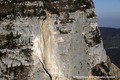 Face est du Granier : niche d'arrachement des boulements survenus entre le 28 avril et le 7 mai