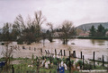 Crue du Garon du 2 dcembre 2003 - jardins derrire la voie ferre encore visibles
