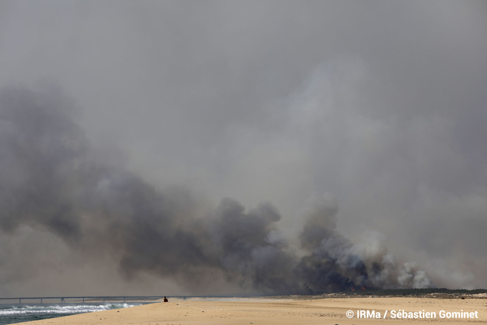 Teste De Buch Feu De For T Catastrophes Naturelles For T De La