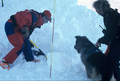 Entrainement de maîtres chiens d'avalanches (formation ANENA)