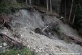 Ractivation du glissement de terrain du Chtelard - niche d'arrachement