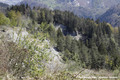 Glissement de terrain de Reyvroz en aval du GR5