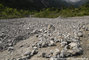 Torrent du Manival : la plage de dépôt partiellement remplie par la lave torrentielle du 06/06/2010