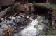 Crue torrentielle du ruisseau de Prmol