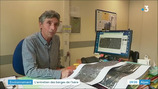 Berges de l’Isère : l’association gestionnaire des digues, l’ADIDR, conteste les « coupes massives » dénoncées par la Frapna