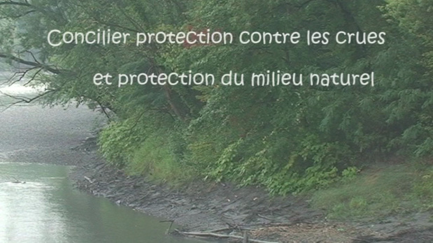 Concilier protection contre les crues et protection du milieu naturel