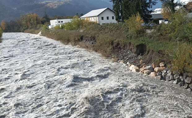 Génie végétal et berge en grande partie arrachés