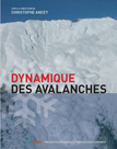 Dynamique des avalanches