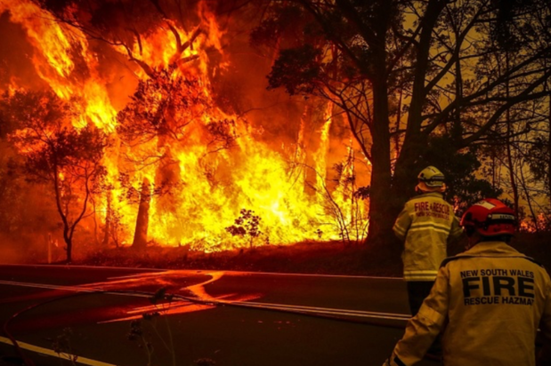 Forêts d’eucalyptus en proie aux flammes © FS Victoria et NSW        