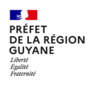 La rponse de scurit civile en Guyane est planifie conformment  la loi de modernisation de la scurit civile de 2004. La planification couvre les deux zones de responsabilit du prfet : zone terrestre et zone maritime. 

Pour la zone terrestre, diffrents plans sont conus pour faire face aux risques identifis ainsi que certaines situations de crises particulires ou propres au territoire.

Pour la zone maritime, un plan unique dcrit lorganisation pour faire face aux consquences dun vnement en mer, en termes de scurit des personnes, de sant publique, de protection des biens et de lenvironnement.

Dans ce cadre, au sein de ltat-major interministriel de zone de dfense et de scurit (EMIZ), le chef du bureau planification de scurit civile anime et pilote le dispositif ORSEC (dispositions gnrales et spcifiques) :
- Rdaction et mise  jour des plans ORSEC relevant de la zone et du dpartement (PPI, RETAP RESAUX, NOVI, Inondations) ;
- Planification, conception, organisation et conduite des exercices de scurit civile ;
- Appui aux actions de formation du Service dpartemental dincendie et de secours (SDIS) ;
- Accompagnement des acteurs de la planification communale pour l'laboration des plans communaux de sauvegarde (PCS) ;
- Suivi en lien avec la direction gnrale des territoires et de la mer (DGTM) des dossiers risques majeurs et plans de prvention ;
- Animation et entretien de la cellule dinformation du public (CIP).

Le poste implique une forte activit rdactionnelle afin dlaborer et de mettre  jour de nombreux documents de planification oprationnelle.
Il participe aux activits transverses de l'EMIZ, notamment en gestion de crise.

Activits annexes :
- Participer  lanimation voire piloter le centre oprationnel zonal (COZ) en gestion de crise ou en exercice ;
- Reprsenter l'EMIZ au PC oprationnel du CSG lors des tirs de fuse ;

Spcificits du poste :
- Habilitation niveau Secret ;
- Rgime dastreintes hebdomadaires rparties sur lanne.