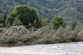 Crue du ruisseau de l'Holme - au niveau de la confluence avec la Loire deux jours après la crue