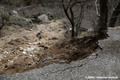 Glissement de terrain � Montselgues en Ard�che - niche d'arrachement