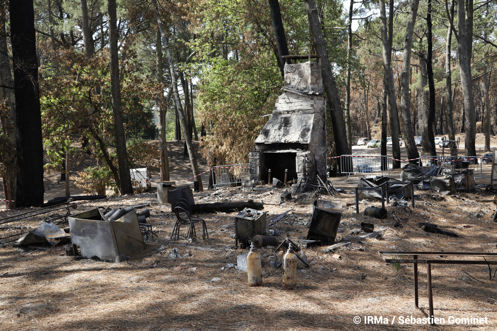 TESTEDEBUCH feu de forêt Catastrophes naturelles Local du club