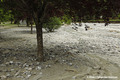 Inondation et engravement du camping du Champ du Moulin suite � la crue du V�n�on du 21 juin 2024
