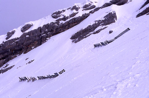 Rteliers paravalanche sous le sommet de Chamechaude (massif de la Chartreuse)