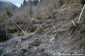 Réactivation du glissement de terrain du Châtelard - niche d'arrachement dans la zone des mires