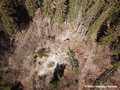 Réactivation (2021) du glissement de terrain du Châtelard - niche d'arrachement principale