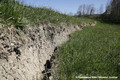 Glissement de terrain de Reyvroz - terrains fissurés en amont du GR5