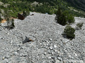 Crue du torrent des �tan�ons � la B�rarde - habitations engrav�es
