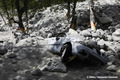 Crue du torrent des �tan�ons � la B�rarde - voiture emport�e par la crue