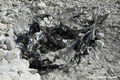 Crue du torrent des �tan�ons � la B�rarde - voiture emport�e par la crue